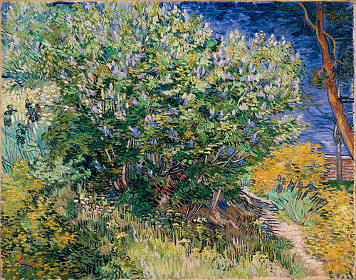 Le Buisson de Lilas